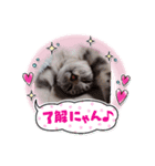 いろなのちゃん（個別スタンプ：2）