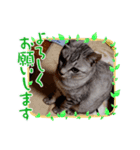 いろなのちゃん（個別スタンプ：4）