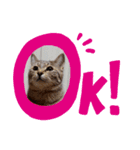 いろなのちゃん（個別スタンプ：5）