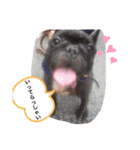 フレブル集合（個別スタンプ：5）