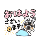 ロングコートチワワのまろちゃん♡（個別スタンプ：5）