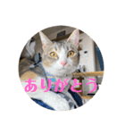 うちのネイサン（個別スタンプ：2）