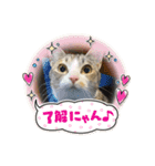 うちのネイサン（個別スタンプ：5）