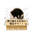 テンシン②（個別スタンプ：1）