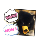 テンシン②（個別スタンプ：5）