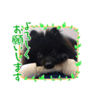 テンシン②（個別スタンプ：6）