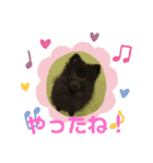 テンシン②（個別スタンプ：13）