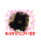 テンシン②（個別スタンプ：19）