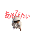 ひまりんぷいたん（個別スタンプ：5）
