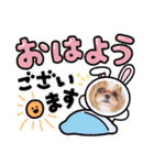 シーズー♡もにか①（個別スタンプ：1）