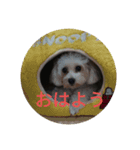 w 2021（個別スタンプ：1）