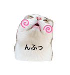 ごきげんハル氏（個別スタンプ：4）