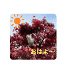 ごきげんハル氏（個別スタンプ：5）
