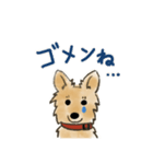 雑種犬のまめ（個別スタンプ：10）