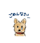 雑種犬のまめ（個別スタンプ：11）