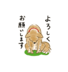 雑種犬のまめ（個別スタンプ：14）