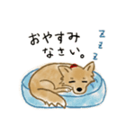 雑種犬のまめ（個別スタンプ：16）