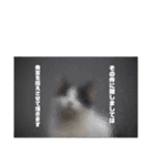 猫が喋れば幸せな日々（個別スタンプ：16）