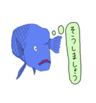 いかつい魚は何か考えている（個別スタンプ：24）