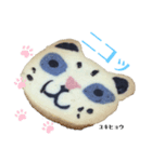 nanda zoo cookies 特徴2（個別スタンプ：8）