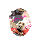 暴れん坊レオ⓶（個別スタンプ：5）
