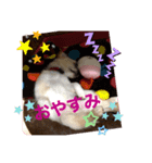 暴れん坊レオ⓶（個別スタンプ：8）