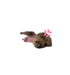 うめは可愛い♥（個別スタンプ：4）