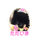 テンシンたつのり⑤（個別スタンプ：4）