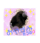 テンシンたつのり⑤（個別スタンプ：11）