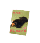 テンシンたつのり⑤（個別スタンプ：12）