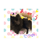 テンシンたつのり⑤（個別スタンプ：22）