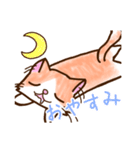 サイベリアンのルーン（個別スタンプ：5）