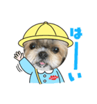 シーズーのNANAちゃま♡日常②（個別スタンプ：3）