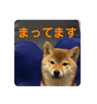 チョコスタンプ__1（個別スタンプ：3）