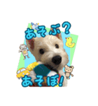 ウエスティ 蓮 のニコニコスタンプ 2（個別スタンプ：26）
