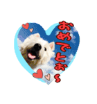 ウエスティ 蓮 のニコニコスタンプ 2（個別スタンプ：28）