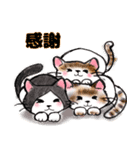 猫のぷーさん（個別スタンプ：12）