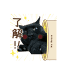 にゃあことちくわ2（個別スタンプ：1）
