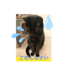 にゃあことちくわ2（個別スタンプ：5）