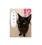 にゃあことちくわ2（個別スタンプ：7）