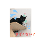 にゃあことちくわ2（個別スタンプ：15）