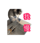 ぺぺさんの我慢所（個別スタンプ：1）