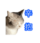 ぺぺさんの我慢所（個別スタンプ：2）