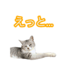 ぺぺさんの我慢所（個別スタンプ：4）