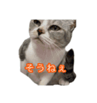 ぺぺさんの我慢所（個別スタンプ：6）