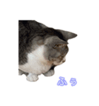 ぺぺさんの我慢所（個別スタンプ：7）