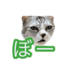 ぺぺさんの我慢所（個別スタンプ：11）