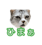 ぺぺさんの我慢所（個別スタンプ：12）