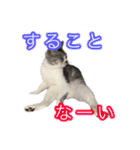 ぺぺさんの我慢所（個別スタンプ：13）