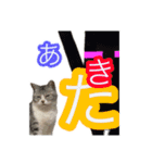 ぺぺさんの我慢所（個別スタンプ：14）